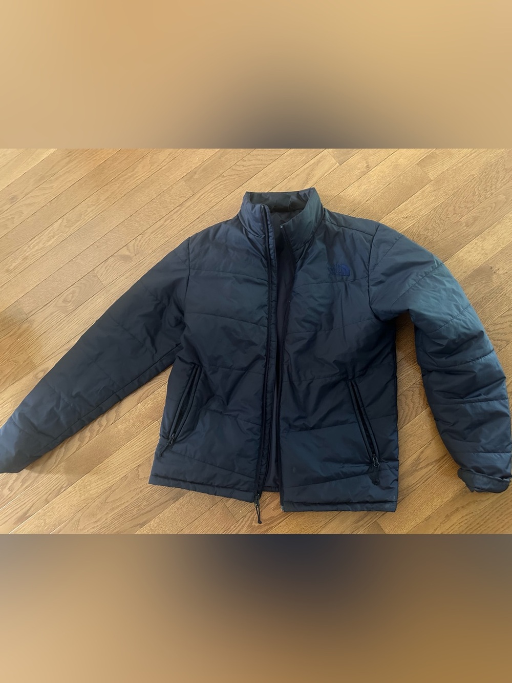 The North Face men’s Navy Blue Puffer Jacket
